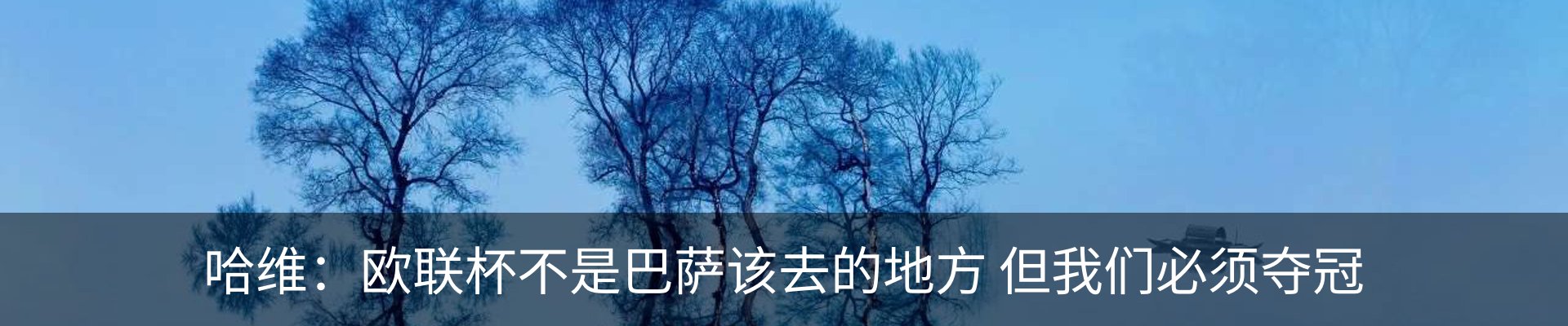 内页banner
